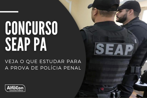 Como eu estudaria para Policia Penal ES 