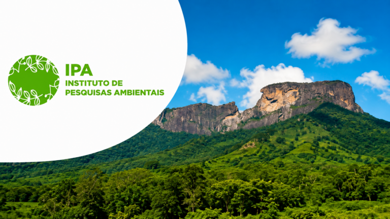 Concurso IPA SP